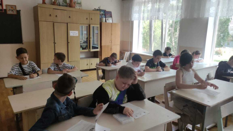 Пушкинский диктант 2025.